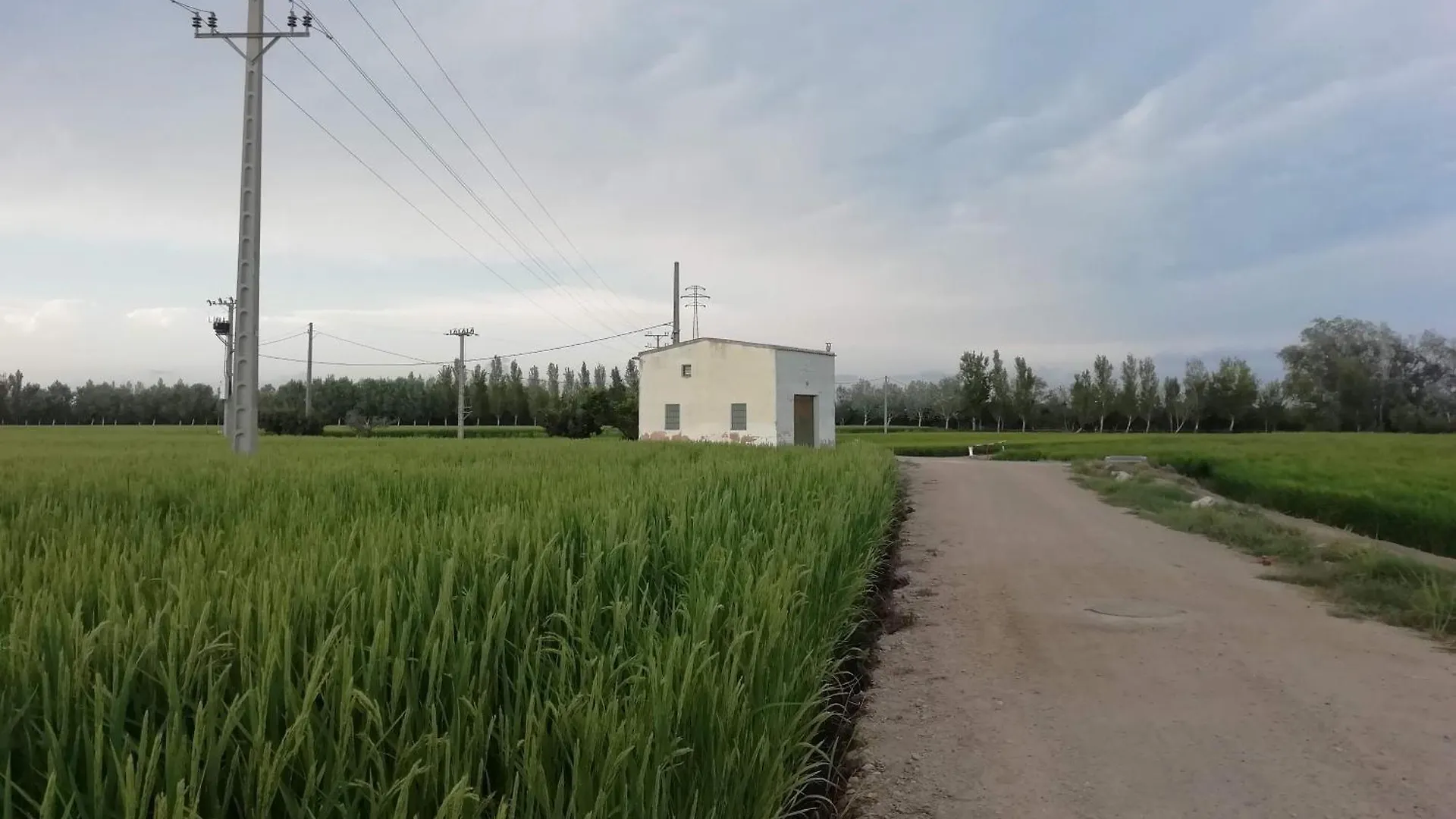 Gegant De Ferro location